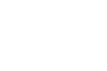 Nile Point Consulting LLC