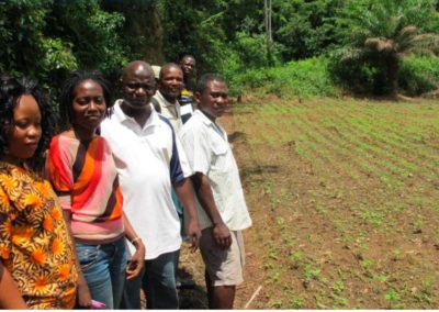 Cadre technique de la situation de la sécurité alimentaire en Sierra Leone